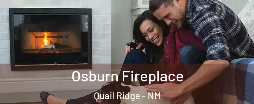 Osburn Fireplace Quail Ridge - NM