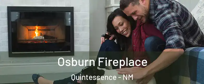 Osburn Fireplace Quintessence - NM