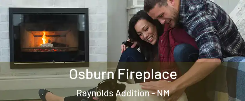 Osburn Fireplace Raynolds Addition - NM