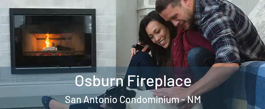 Osburn Fireplace San Antonio Condominium - NM