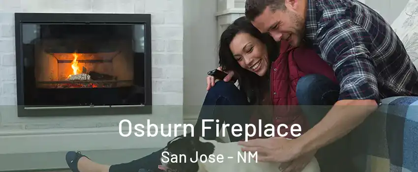 Osburn Fireplace San Jose - NM