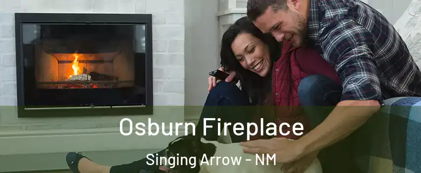 Osburn Fireplace Singing Arrow - NM