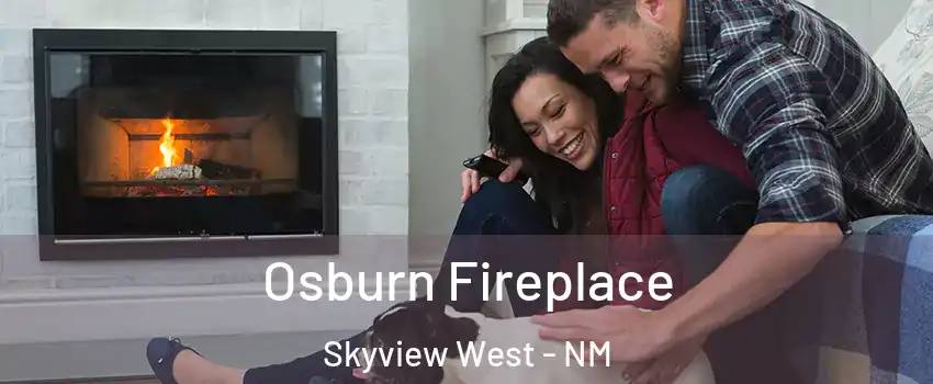Osburn Fireplace Skyview West - NM