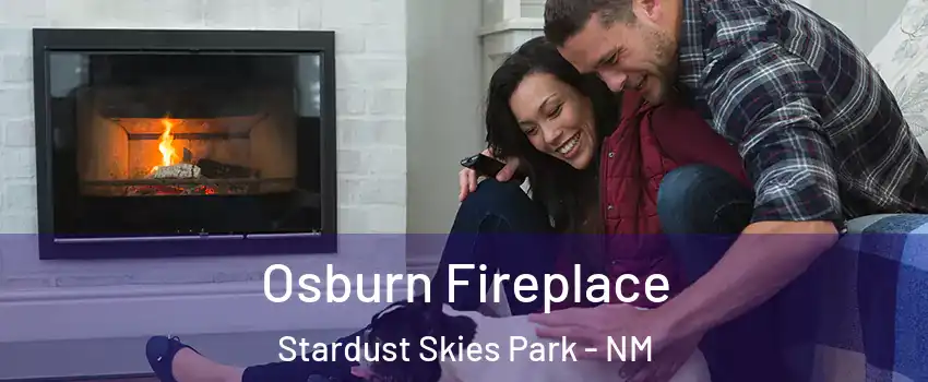 Osburn Fireplace Stardust Skies Park - NM