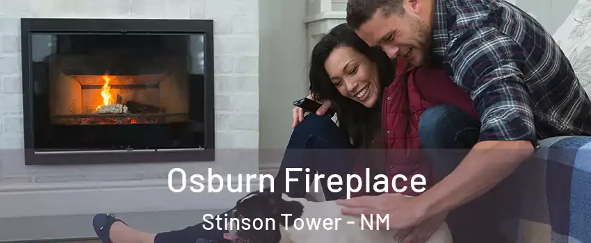 Osburn Fireplace Stinson Tower - NM