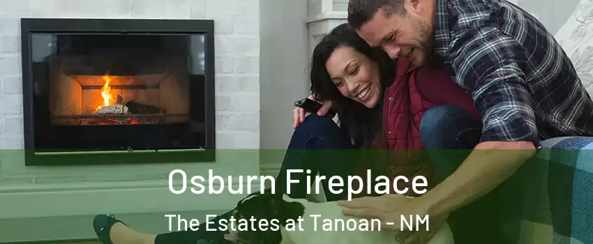 Osburn Fireplace The Estates at Tanoan - NM