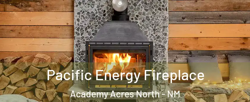 Pacific Energy Fireplace Academy Acres North - NM