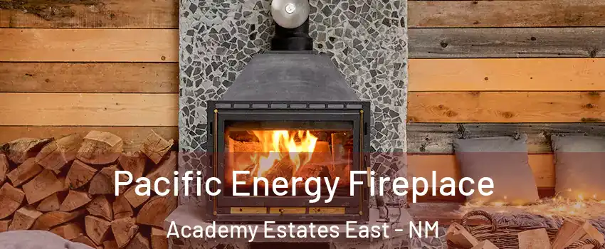 Pacific Energy Fireplace Academy Estates East - NM