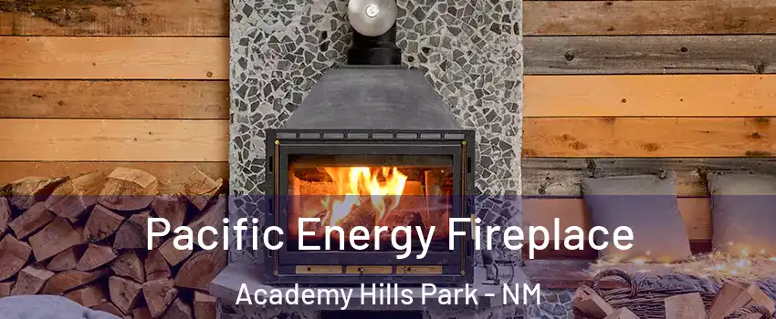 Pacific Energy Fireplace Academy Hills Park - NM
