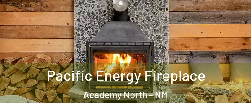 Pacific Energy Fireplace Academy North - NM