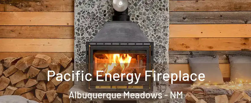 Pacific Energy Fireplace Albuquerque Meadows - NM