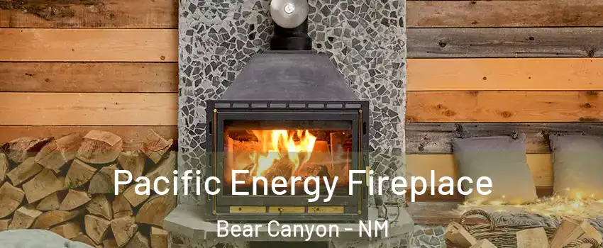 Pacific Energy Fireplace Bear Canyon - NM