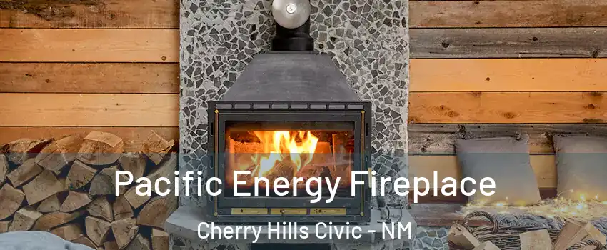 Pacific Energy Fireplace Cherry Hills Civic - NM
