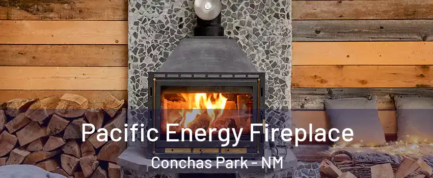Pacific Energy Fireplace Conchas Park - NM