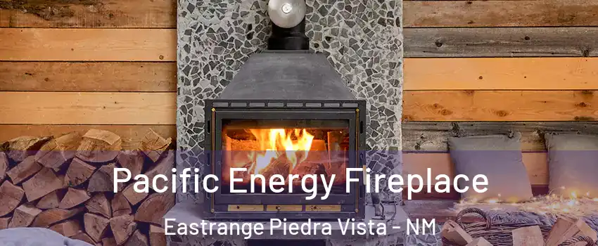 Pacific Energy Fireplace Eastrange Piedra Vista - NM