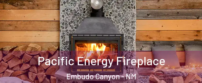 Pacific Energy Fireplace Embudo Canyon - NM