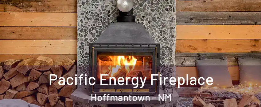 Pacific Energy Fireplace Hoffmantown - NM