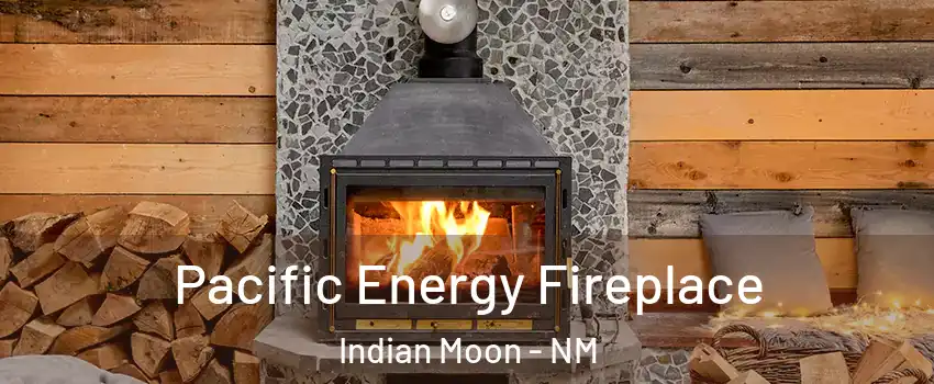 Pacific Energy Fireplace Indian Moon - NM