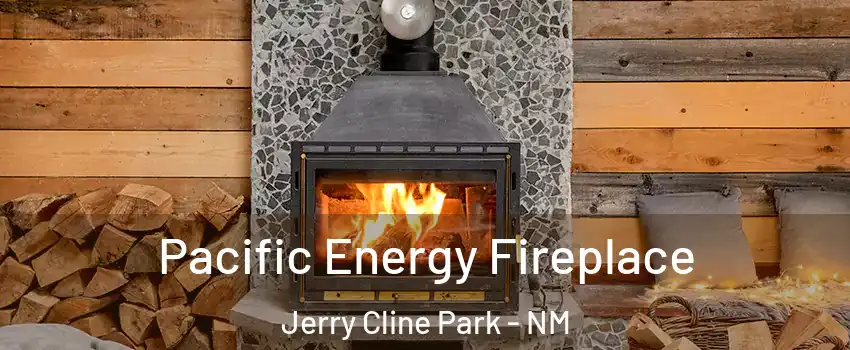Pacific Energy Fireplace Jerry Cline Park - NM