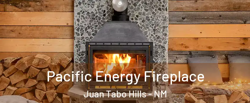 Pacific Energy Fireplace Juan Tabo Hills - NM