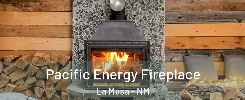 Pacific Energy Fireplace La Mesa - NM