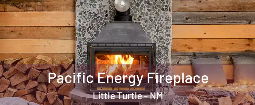 Pacific Energy Fireplace Little Turtle - NM