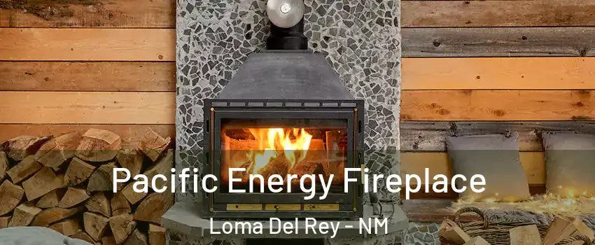 Pacific Energy Fireplace Loma Del Rey - NM