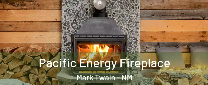 Pacific Energy Fireplace Mark Twain - NM