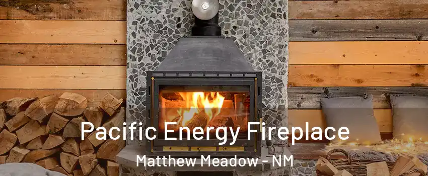 Pacific Energy Fireplace Matthew Meadow - NM