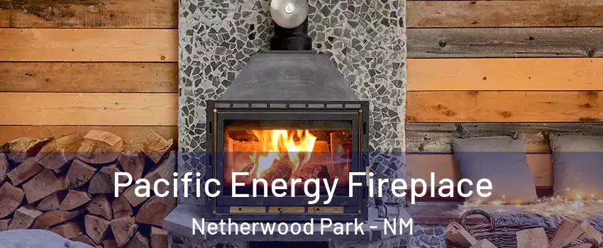 Pacific Energy Fireplace Netherwood Park - NM