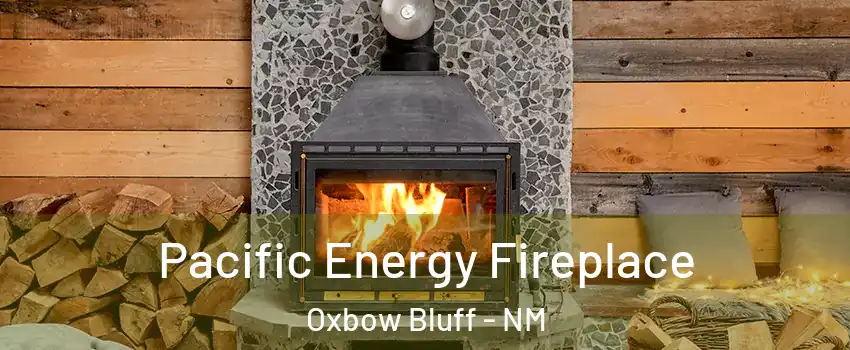 Pacific Energy Fireplace Oxbow Bluff - NM