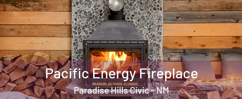 Pacific Energy Fireplace Paradise Hills Civic - NM