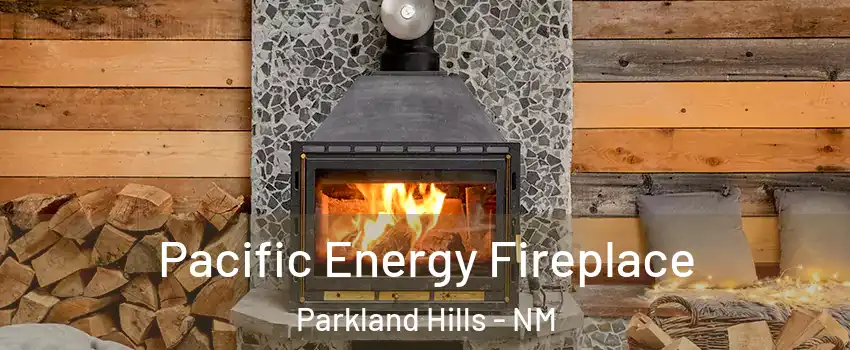 Pacific Energy Fireplace Parkland Hills - NM