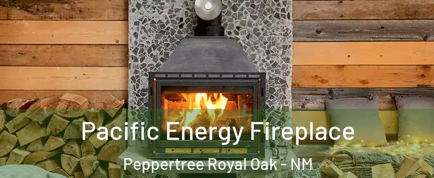 Pacific Energy Fireplace Peppertree Royal Oak - NM