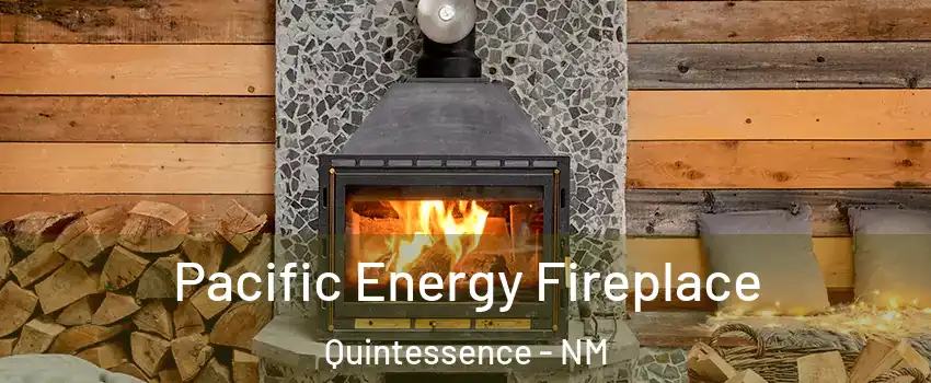 Pacific Energy Fireplace Quintessence - NM
