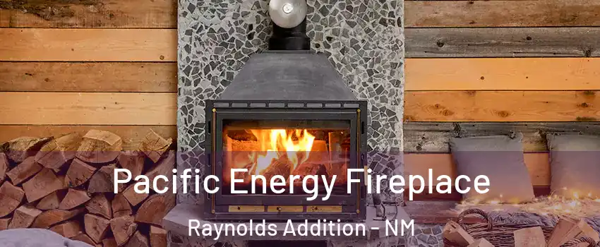 Pacific Energy Fireplace Raynolds Addition - NM