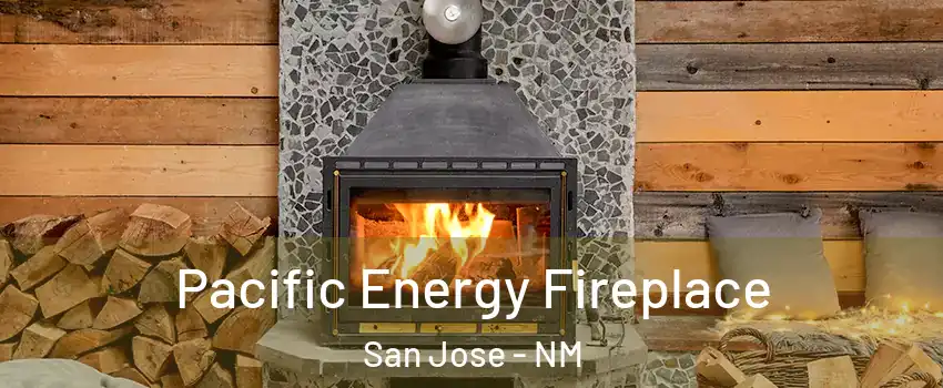 Pacific Energy Fireplace San Jose - NM