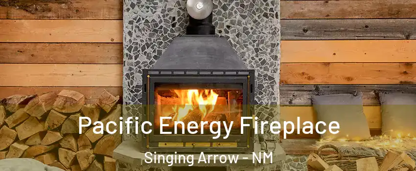 Pacific Energy Fireplace Singing Arrow - NM