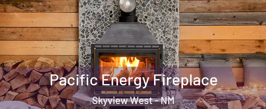 Pacific Energy Fireplace Skyview West - NM