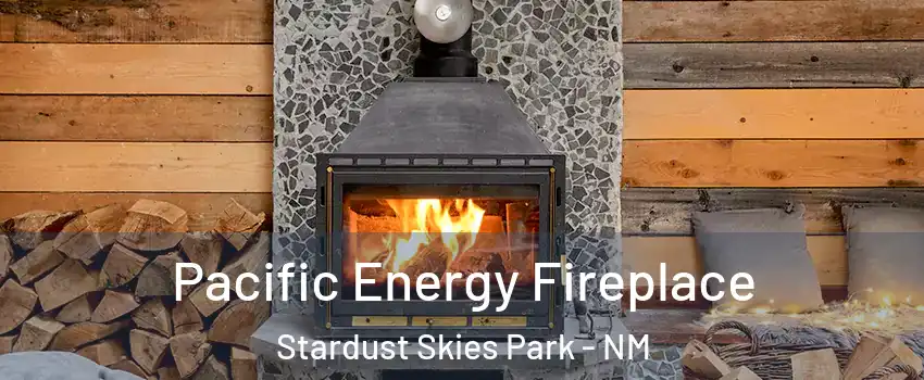 Pacific Energy Fireplace Stardust Skies Park - NM