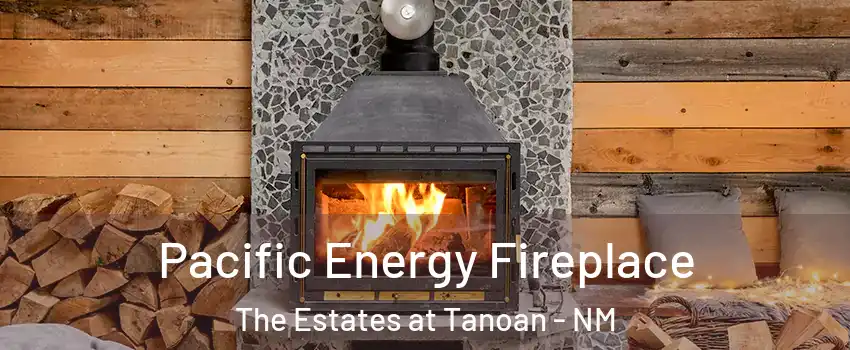 Pacific Energy Fireplace The Estates at Tanoan - NM