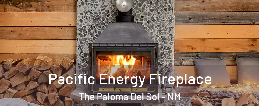 Pacific Energy Fireplace The Paloma Del Sol - NM