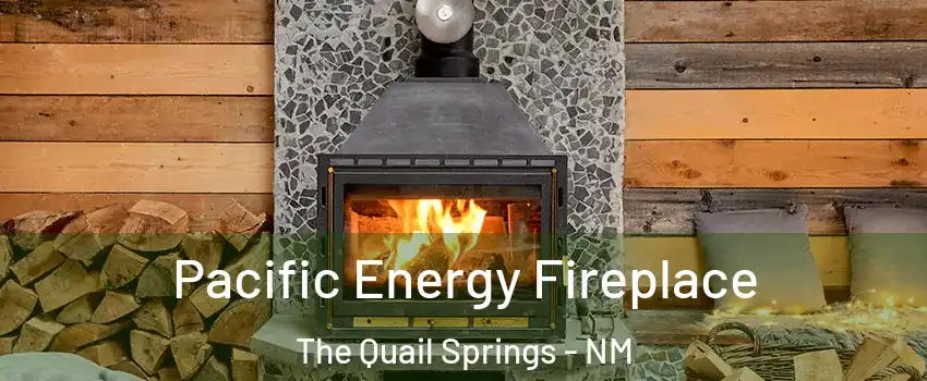 Pacific Energy Fireplace The Quail Springs - NM