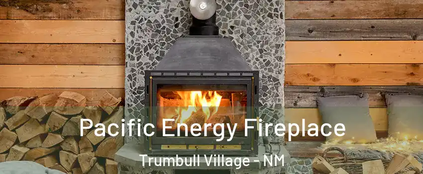 Pacific Energy Fireplace Trumbull Village - NM