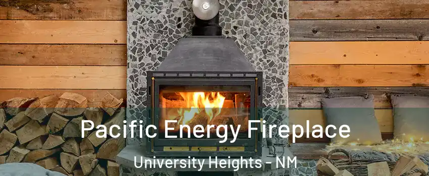 Pacific Energy Fireplace University Heights - NM