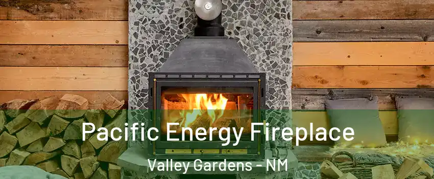 Pacific Energy Fireplace Valley Gardens - NM