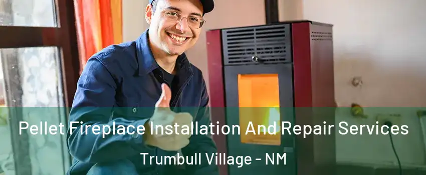 Pellet Fireplace Installation And Repair Services Trumbull Village - NM