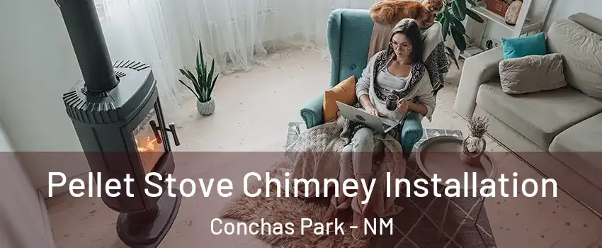 Pellet Stove Chimney Installation Conchas Park - NM