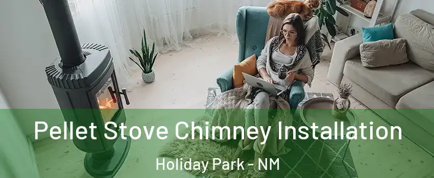 Pellet Stove Chimney Installation Holiday Park - NM