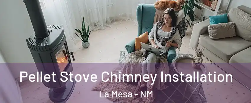 Pellet Stove Chimney Installation La Mesa - NM